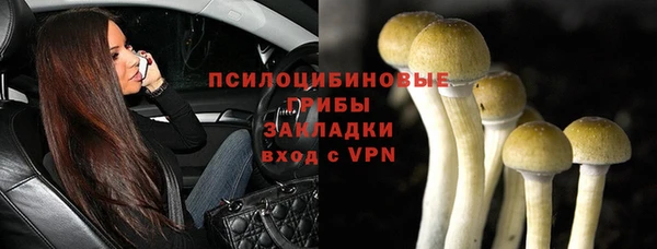 Альфа ПВП Абаза