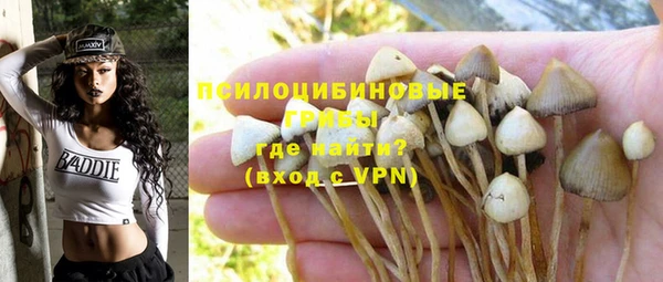 мескалин Покров