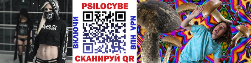 как найти наркотики  Заринск  Галлюциногенные грибы Psilocybe 